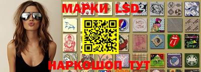 гидропоника Волжск