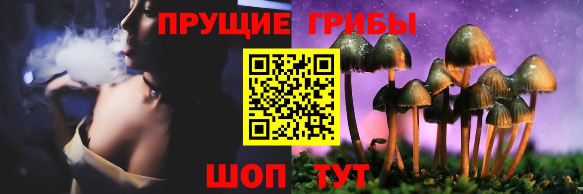 Псилоцибиновые грибы Cubensis  Вход с VPN  Лиски 